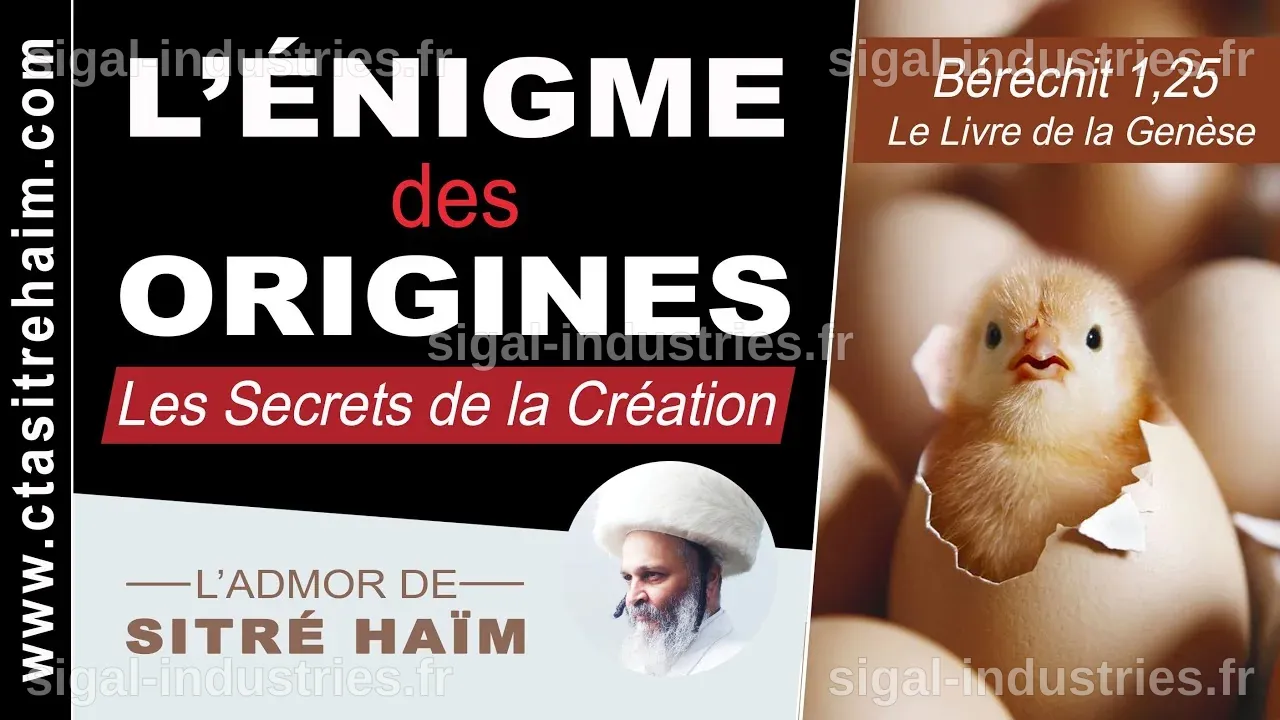 L'énigme de l'œuf et de la poule résolue par la science