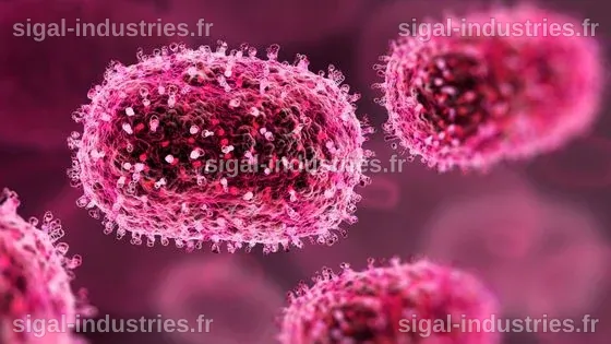 Révélations inédites : des microbes antarctiques mystérieux cartographiés par la science