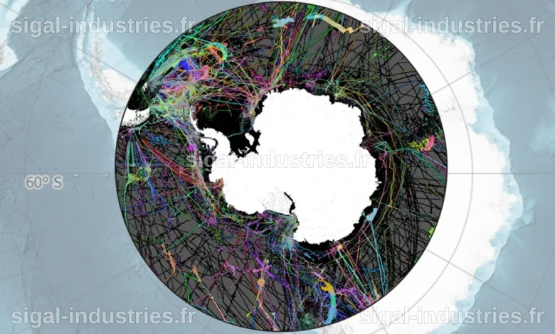 Révolution scientifique : Des microbes inédits de l'Antarctique cartographiés pour la première fois