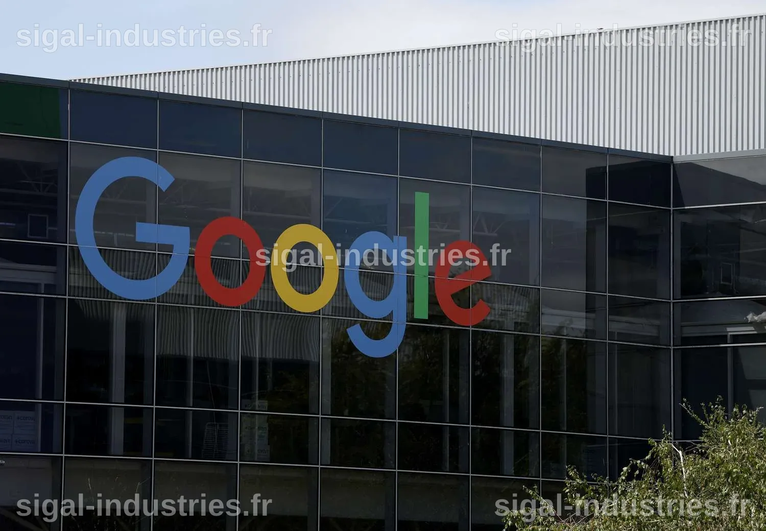 Un responsable de Google avertit que deux types de startups d'IA risquent de disparaître