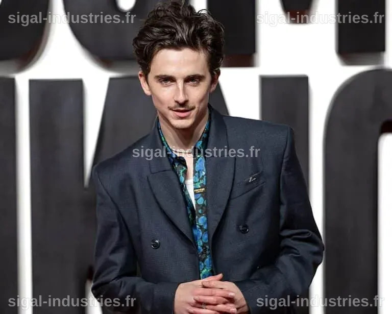 « Une bataille après l’autre » remporte la mise aux Oscars 2026, Timothée Chalamet négligé