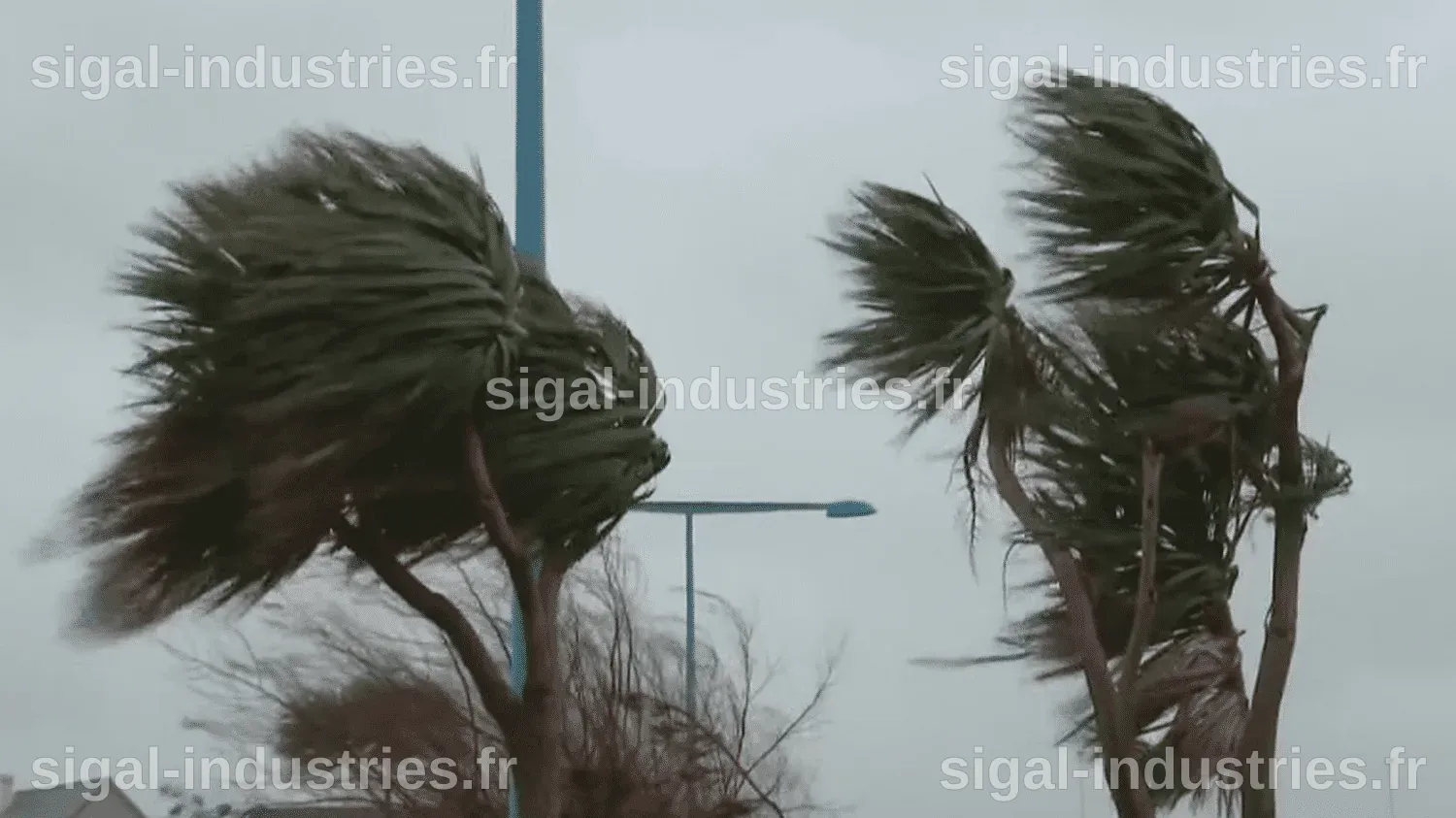Alerte Météo : Tempête Pedro s'intensifie avec pluies, vents violents et neige