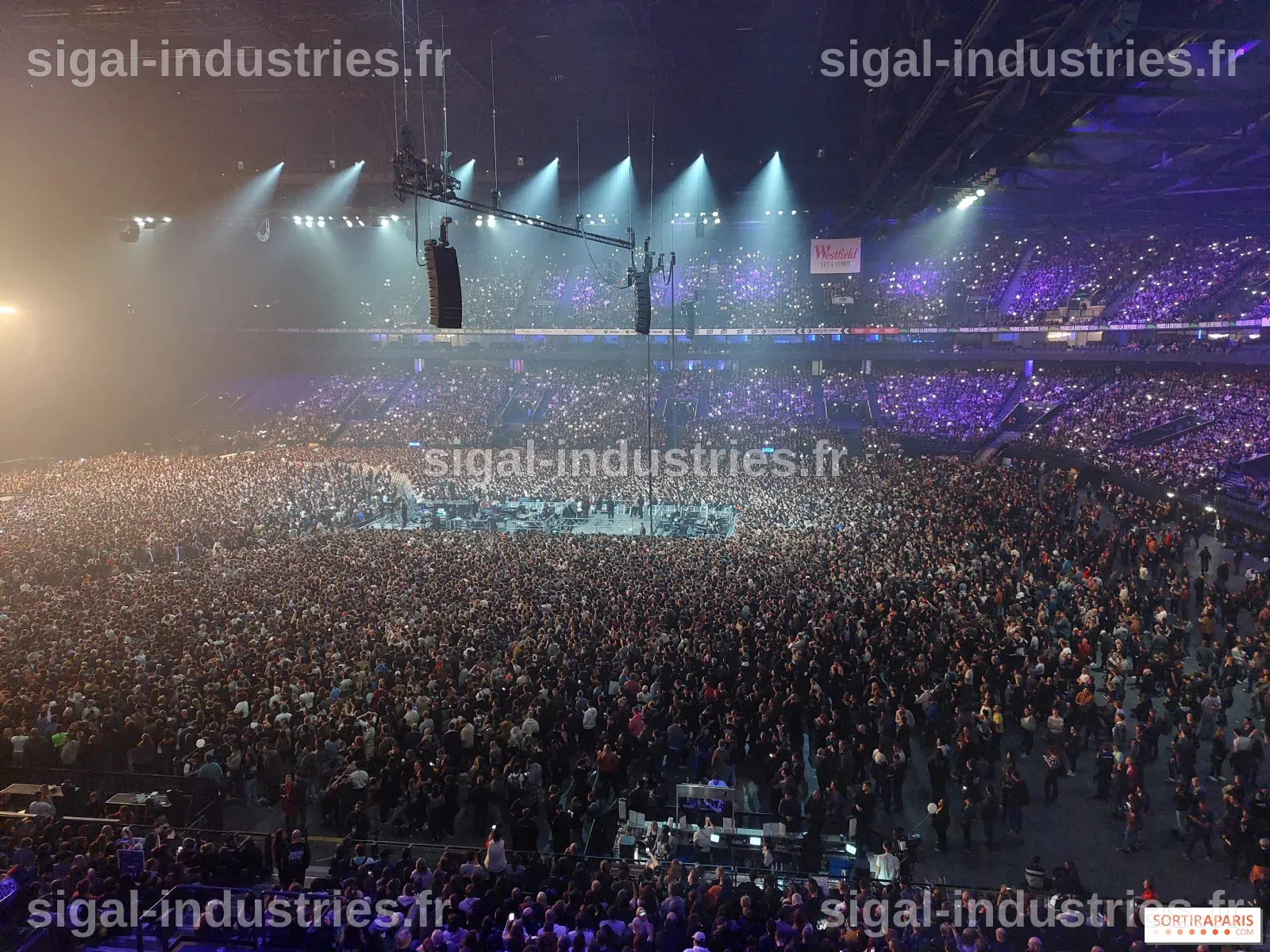 Bad Bunny en concert à La Défense Arena : Live Nation s'implante-t-il sur le marché des concerts en France ?