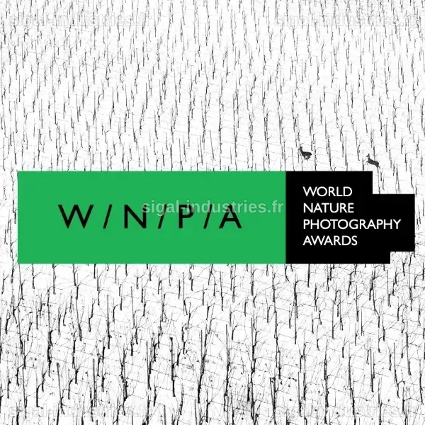 Découvrez les 14 photos primées du prestigieux concours World Nature Photography Awards 2026