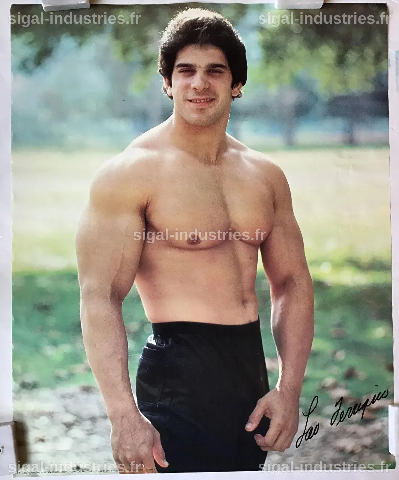 La Taille de Lou Ferrigno : Un Géant du Culturisme et du Cinéma