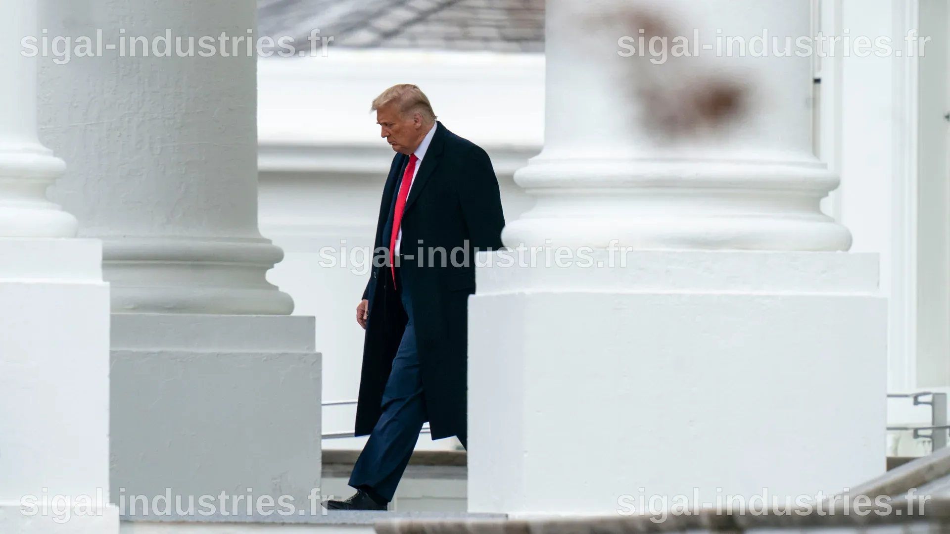 Le ‘cadeau’ que les Démocrates pensent que Trump vient de leur offrir