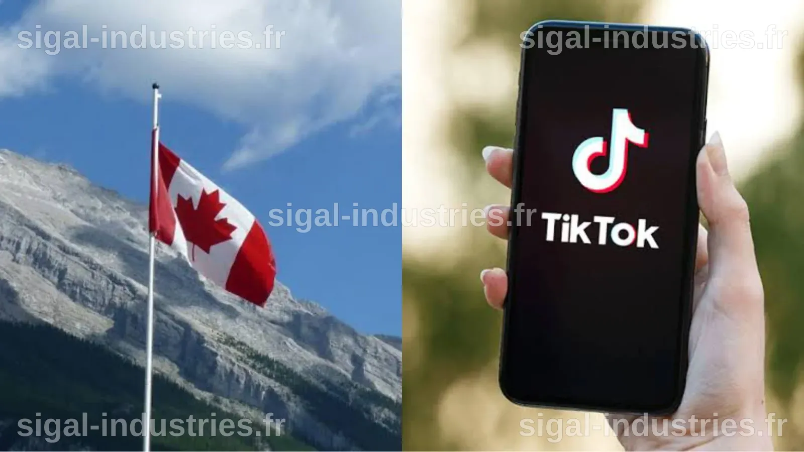 Le Canada autorise TikTok à poursuivre ses activités sur son territoire
