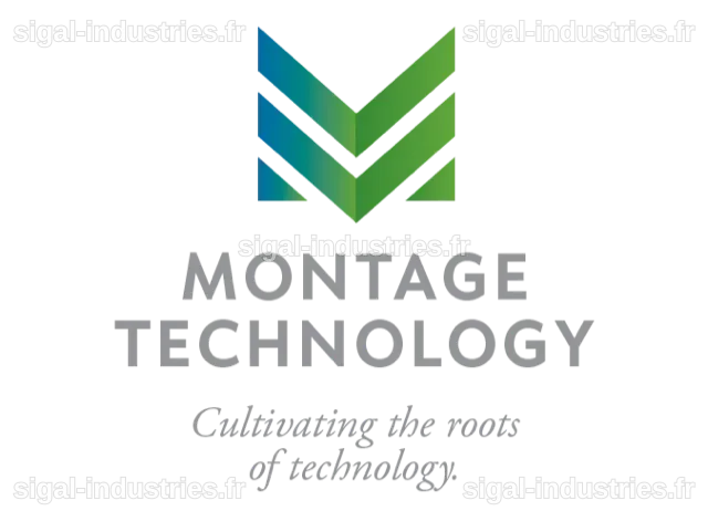 Montage Technology Co., Ltd. dévoile des résultats financiers impressionnants pour l'exercice 2025