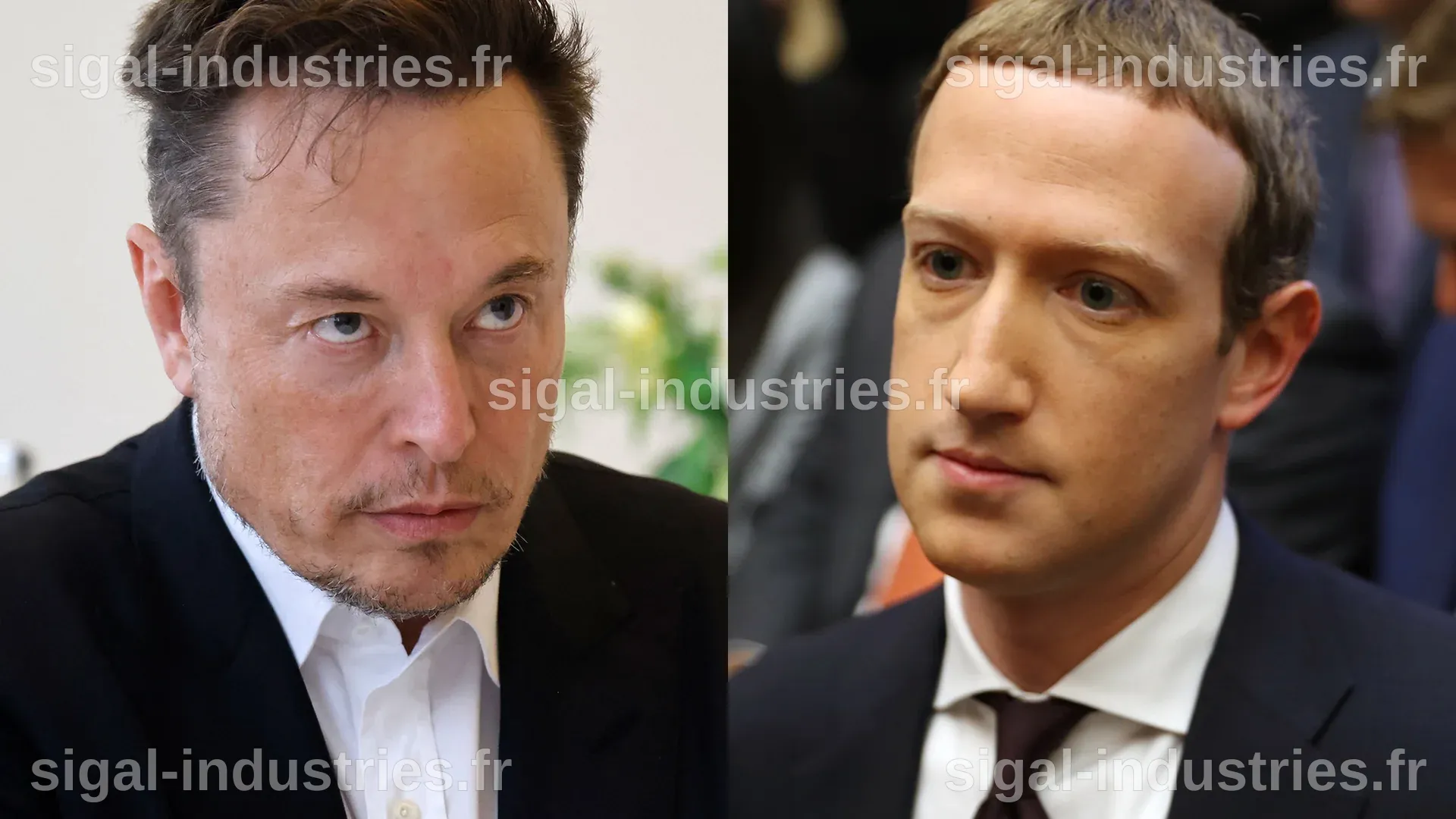 Pourquoi Elon Musk et Mark Zuckerberg ont choisi des hypothèques pour acquérir des demeures à plusieurs millions de dollars