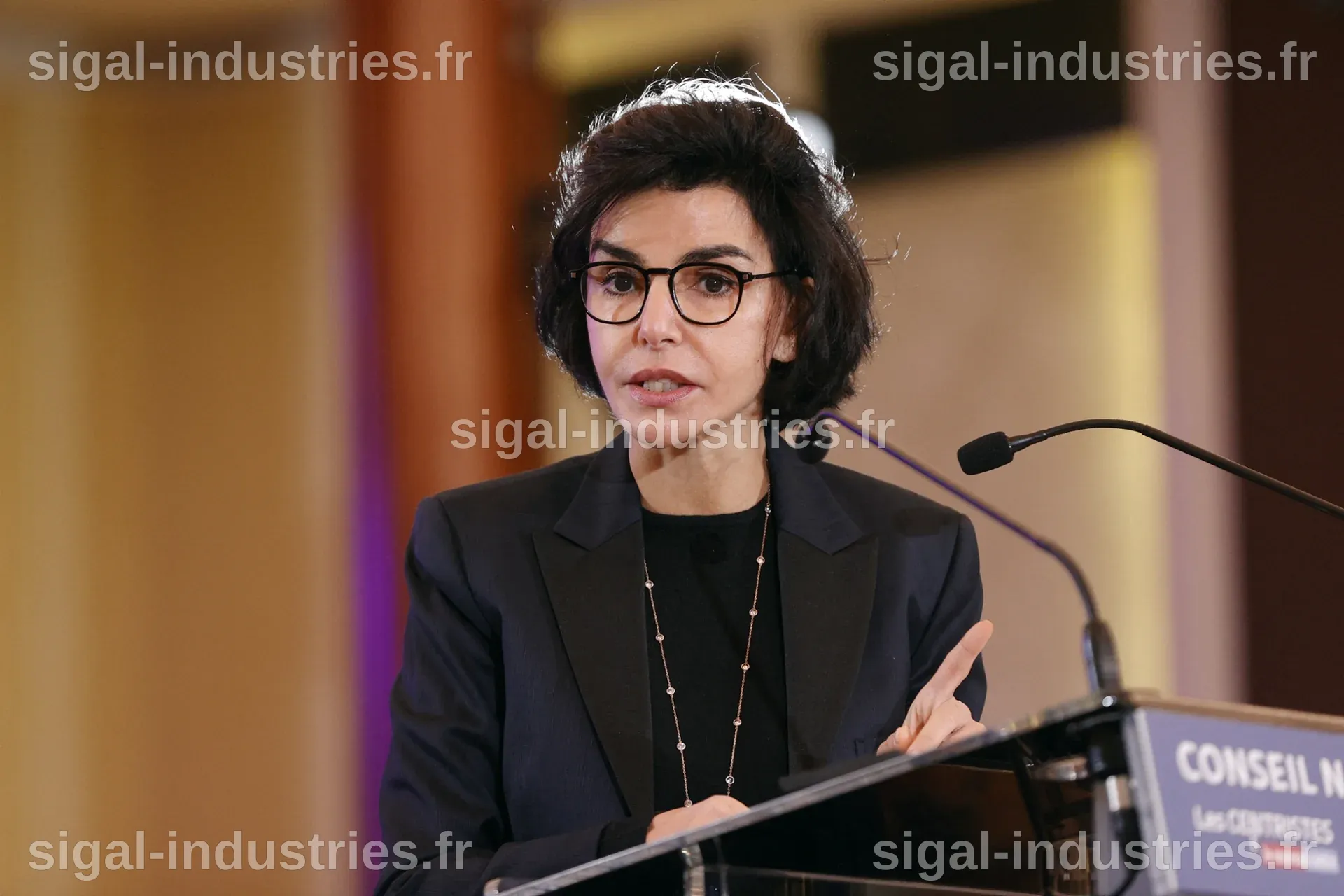 Rachida Dati : Un bilan contrasté pour son passage au ministère de la Culture