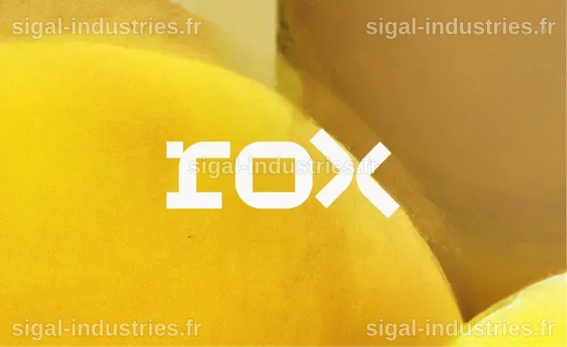 Rox AI, la startup d'automatisation des ventes, atteint une valorisation de 1,2 milliard de dollars