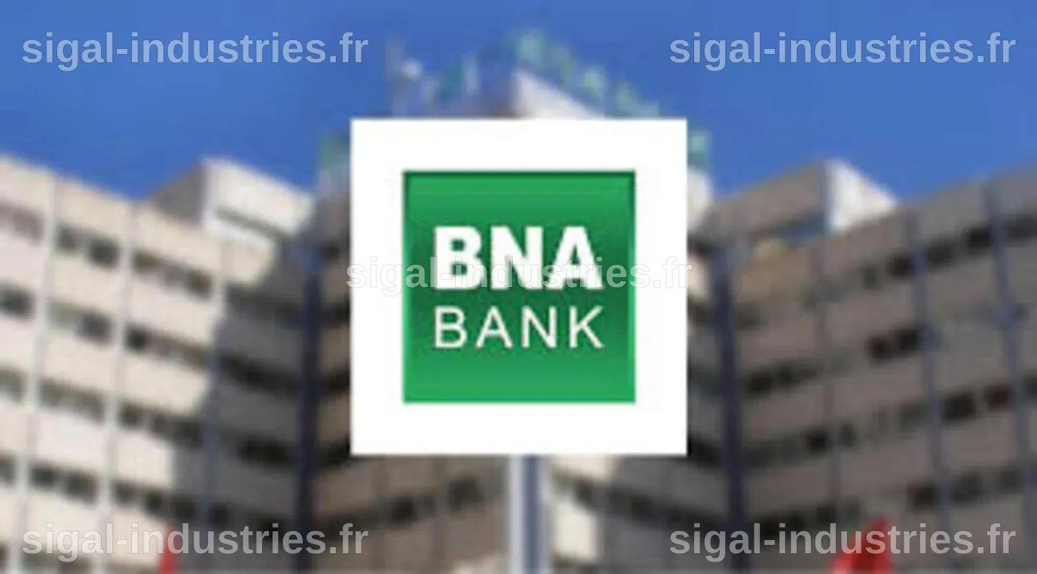 Stark Technology Inc. : Bilan financier 2025, une croissance notable des revenus