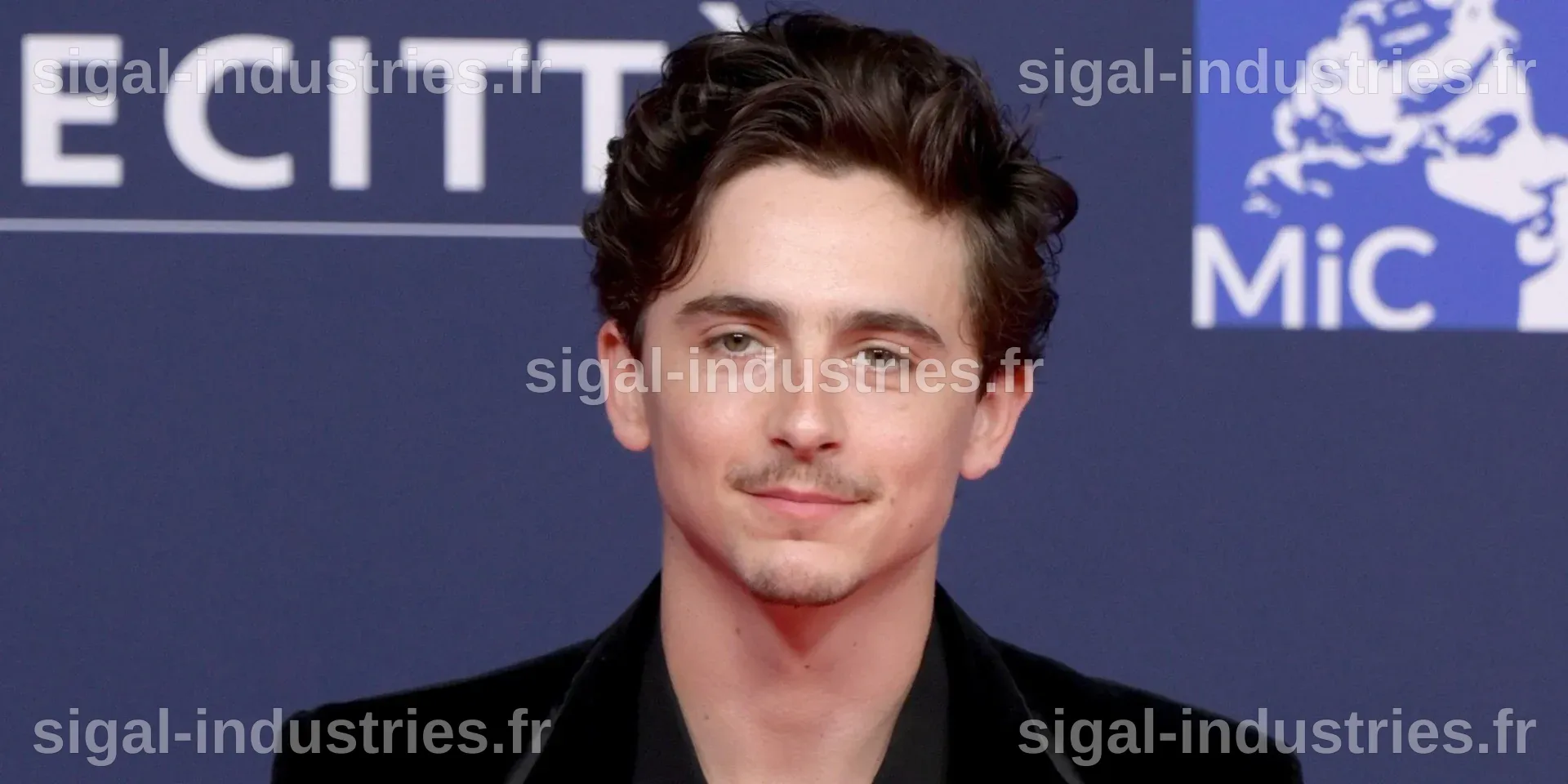 Timothée Chalamet : L'Ascension Éblouissante de l'Acteur dans « Marty Supreme »