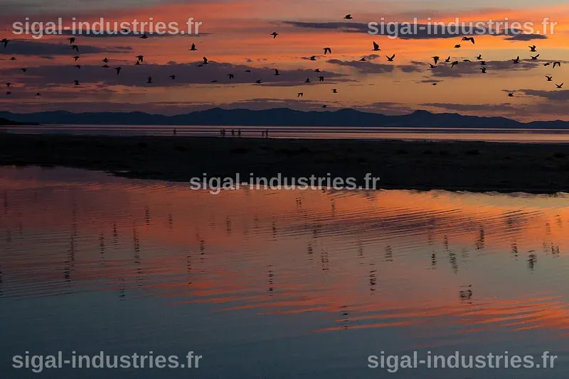 Un plan audacieux pour restaurer le Grand Lac Salé