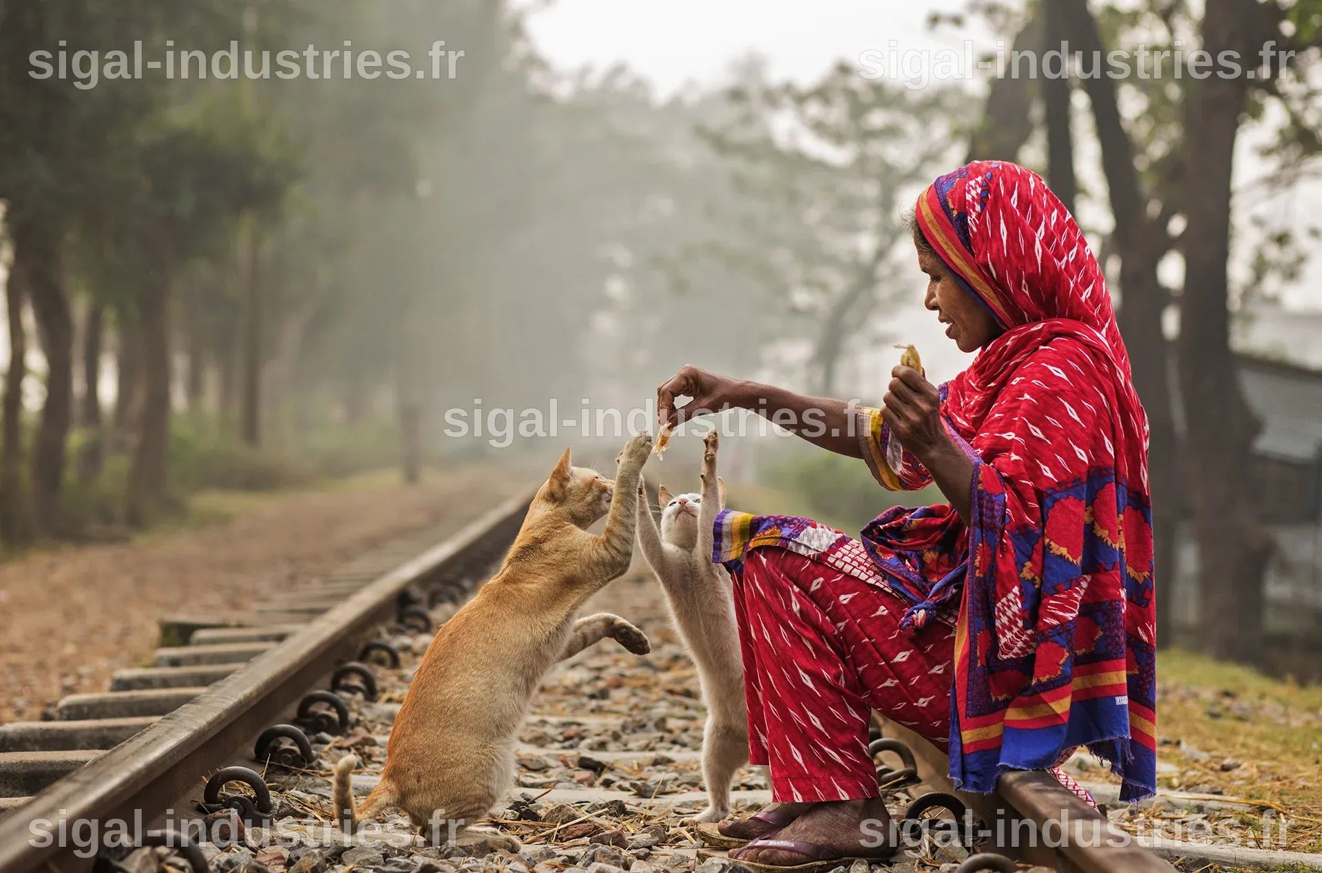 Les Meilleurs Photographies Alimentaires : Découvrez la Shortlist des World Food Photography Awards 2026