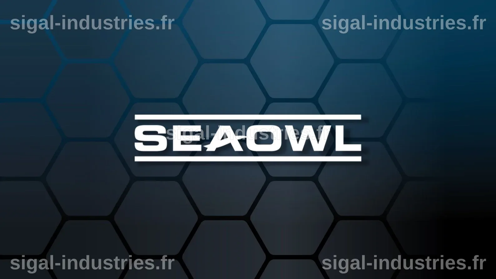 SeaOwl Technology Solutions investit 10 millions d'euros dans une nouvelle usine de drones navals près de Toulon