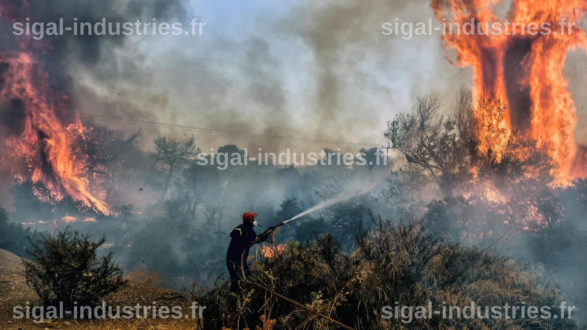 Les incendies en Géorgie révèlent l'impact du changement climatique sur les feux de forêt dans l'Est des États-Unis