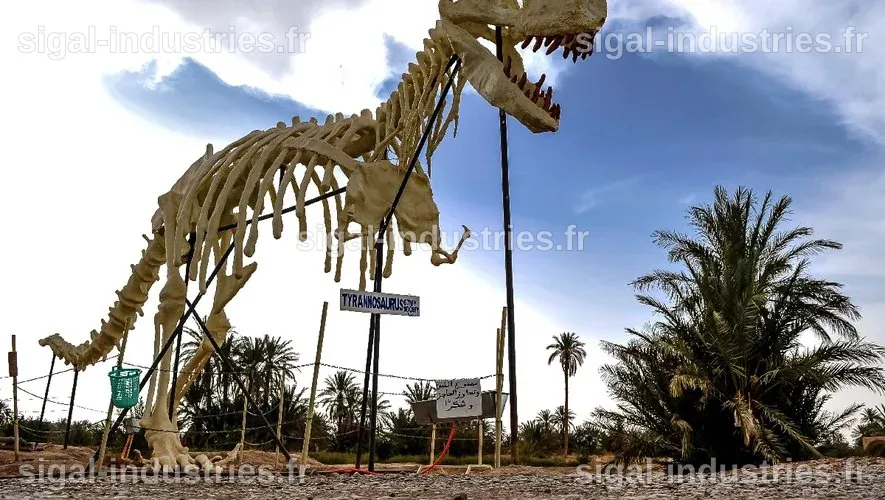 Le marché florissant des fossiles de dinosaures au Maroc