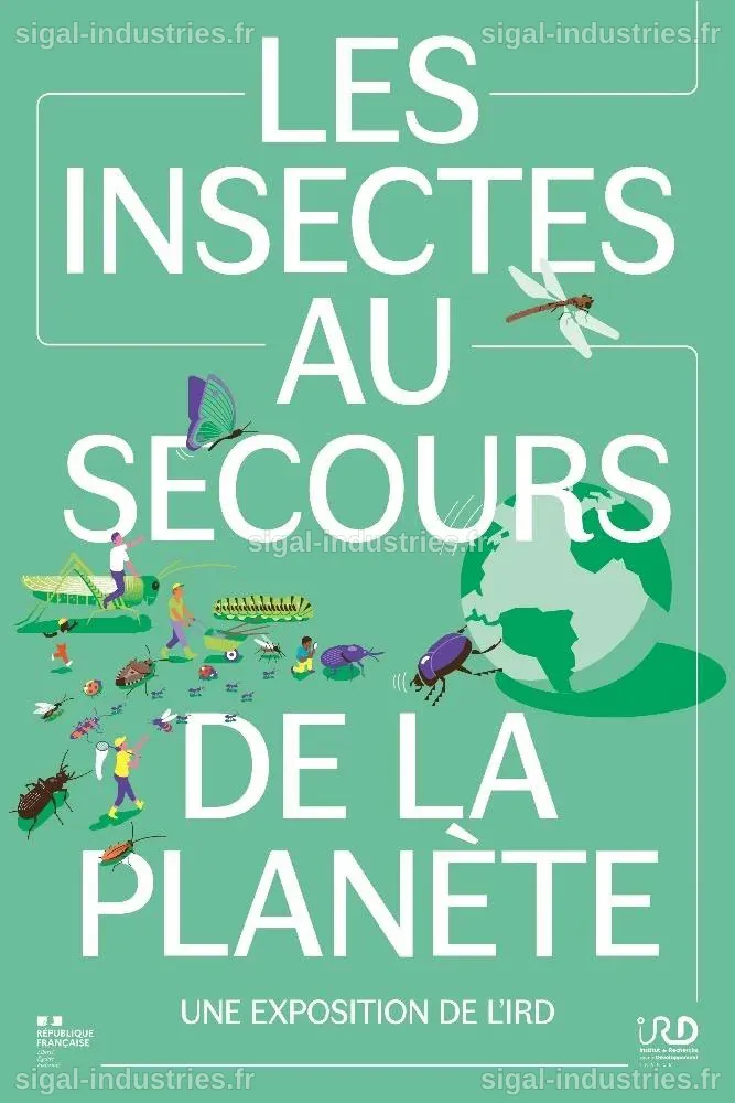 Les automobilistes, partenaires inattendus dans le recensement des insectes