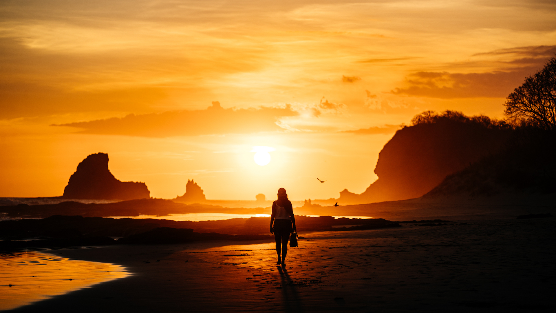 Transcription : Le Sénateur Tim Kaine dans "Face the Nation avec Margaret Brennan", le 8 mars 2026